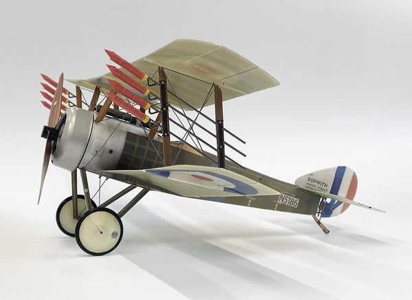 Mike Goldby's Sopwith Pup