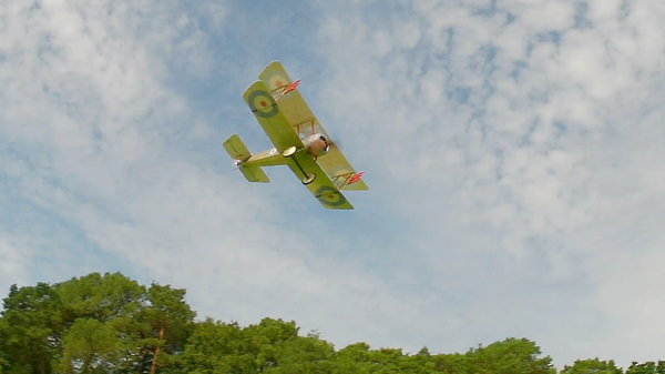 Mike Goldby's Sopwith Pup