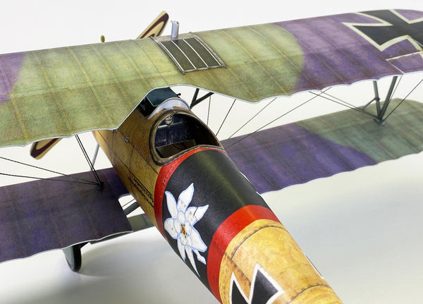 Albatros D.V/D.Va - Iron Eagle